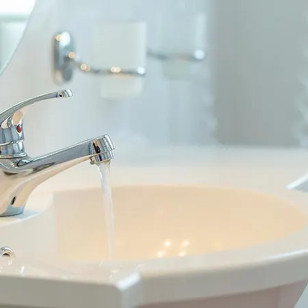 Seerose Seerose 08 Binz