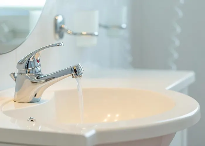 Seerose Seerose 08 Binz